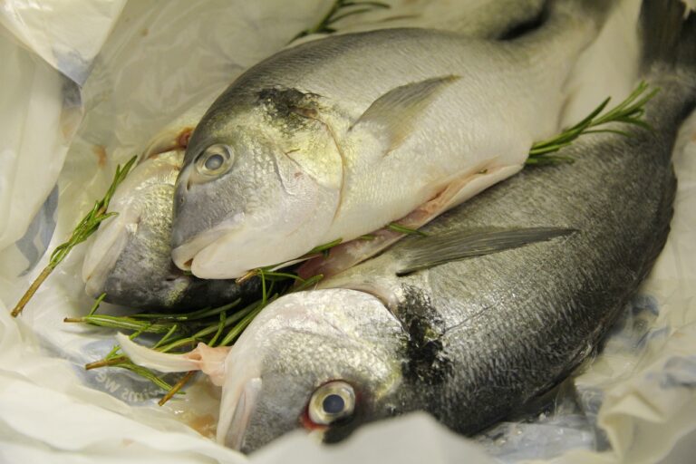 Market Analysis: Growth Opportunities in Seafood Processing