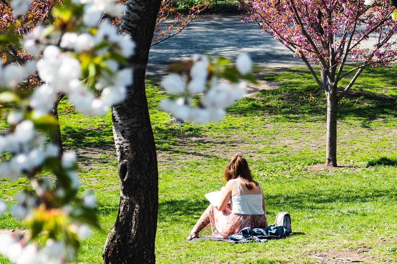 Teaching Urban Resilience and Climate Change Adaptation