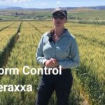 Discover the Benefits of Reddy Anna ID: A Comprehensive Guide for Learners