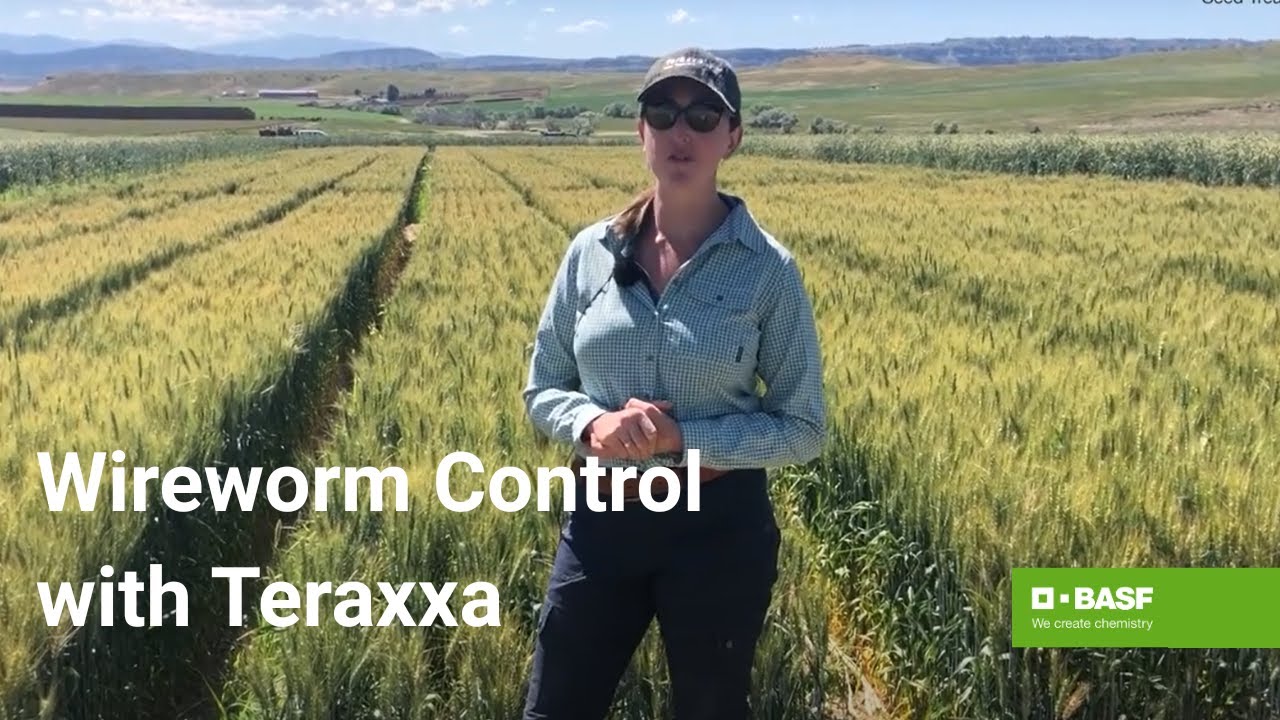 Discover the Benefits of Reddy Anna ID: A Comprehensive Guide for Learners